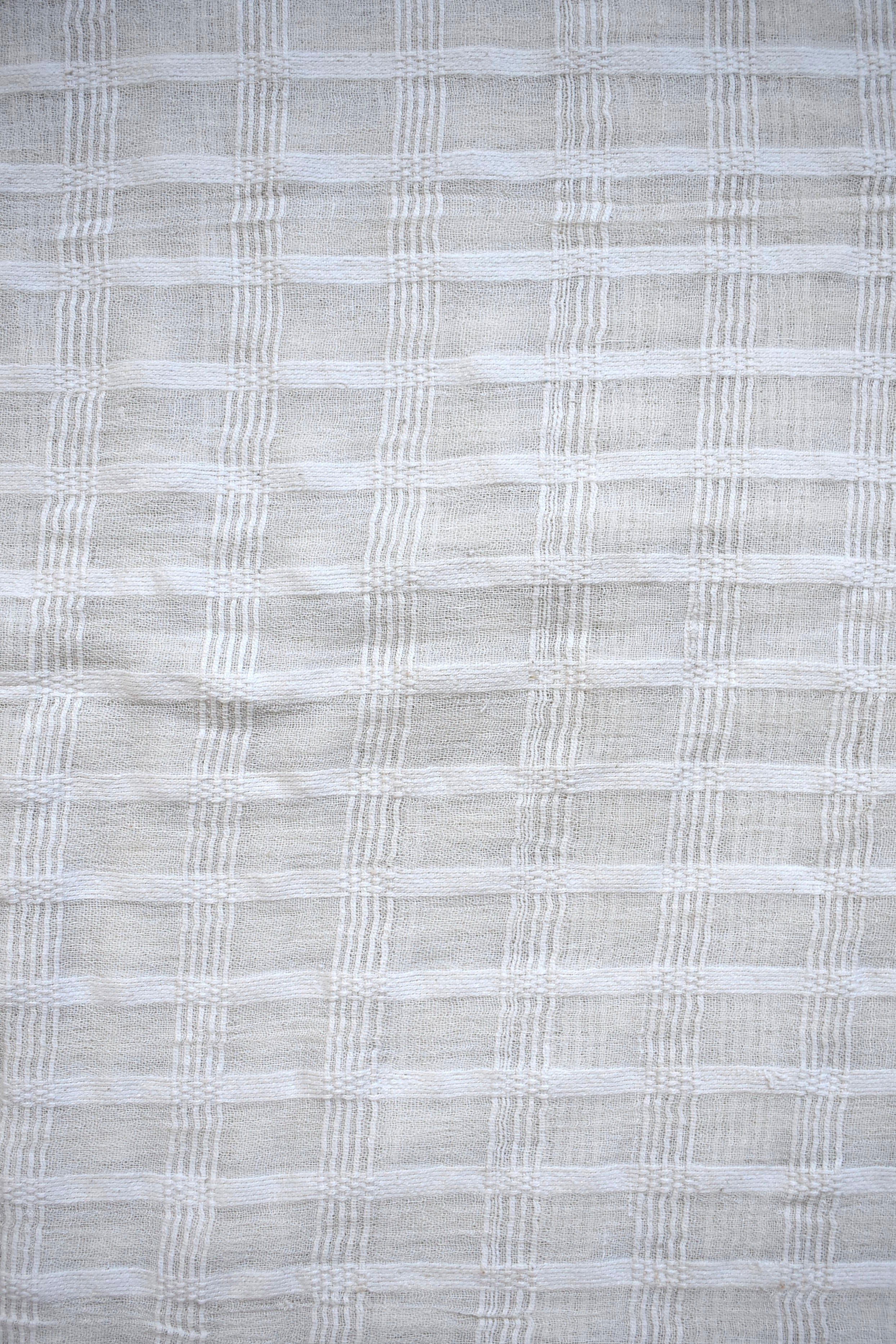 Fabric - WN079