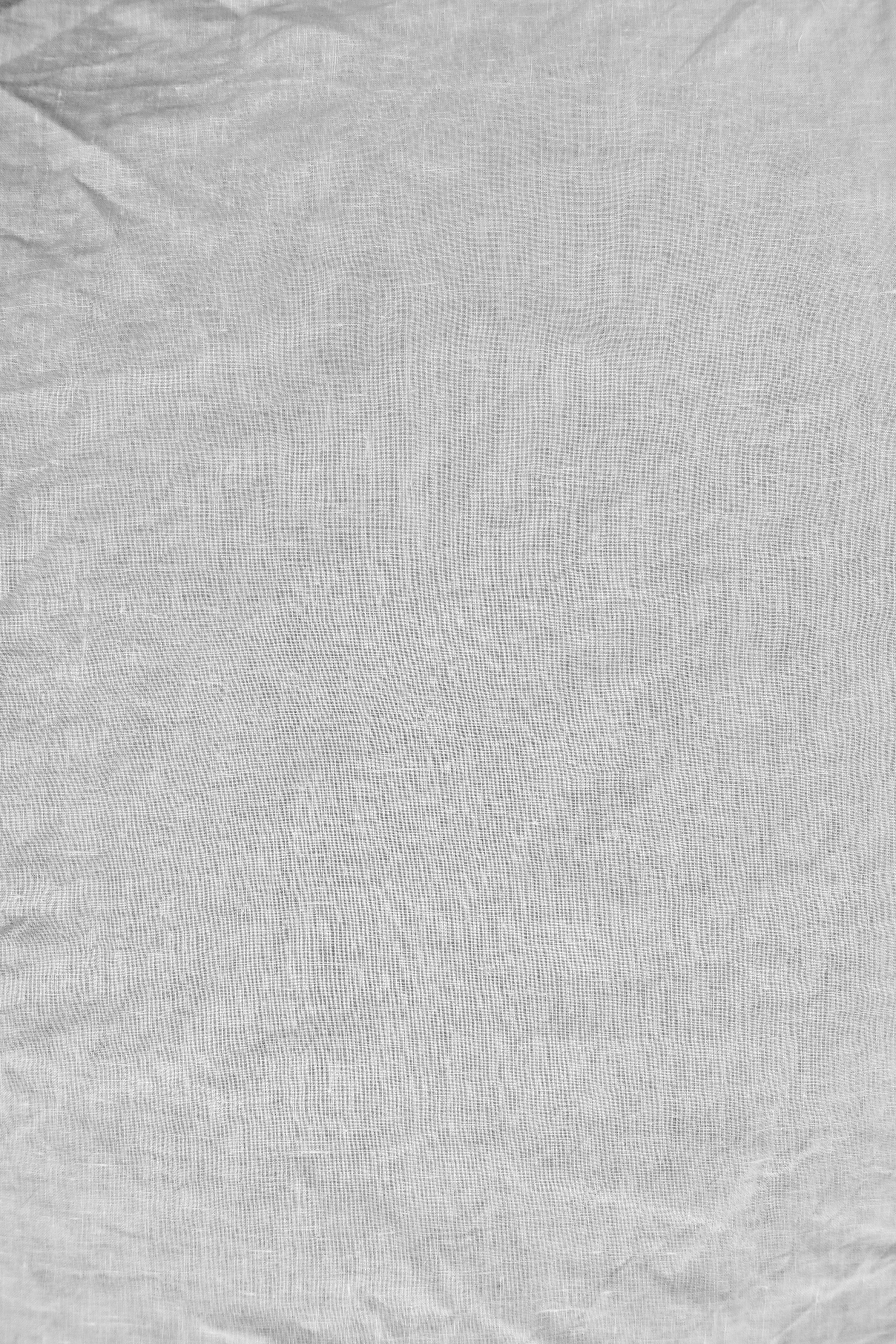 Fabric - WN117